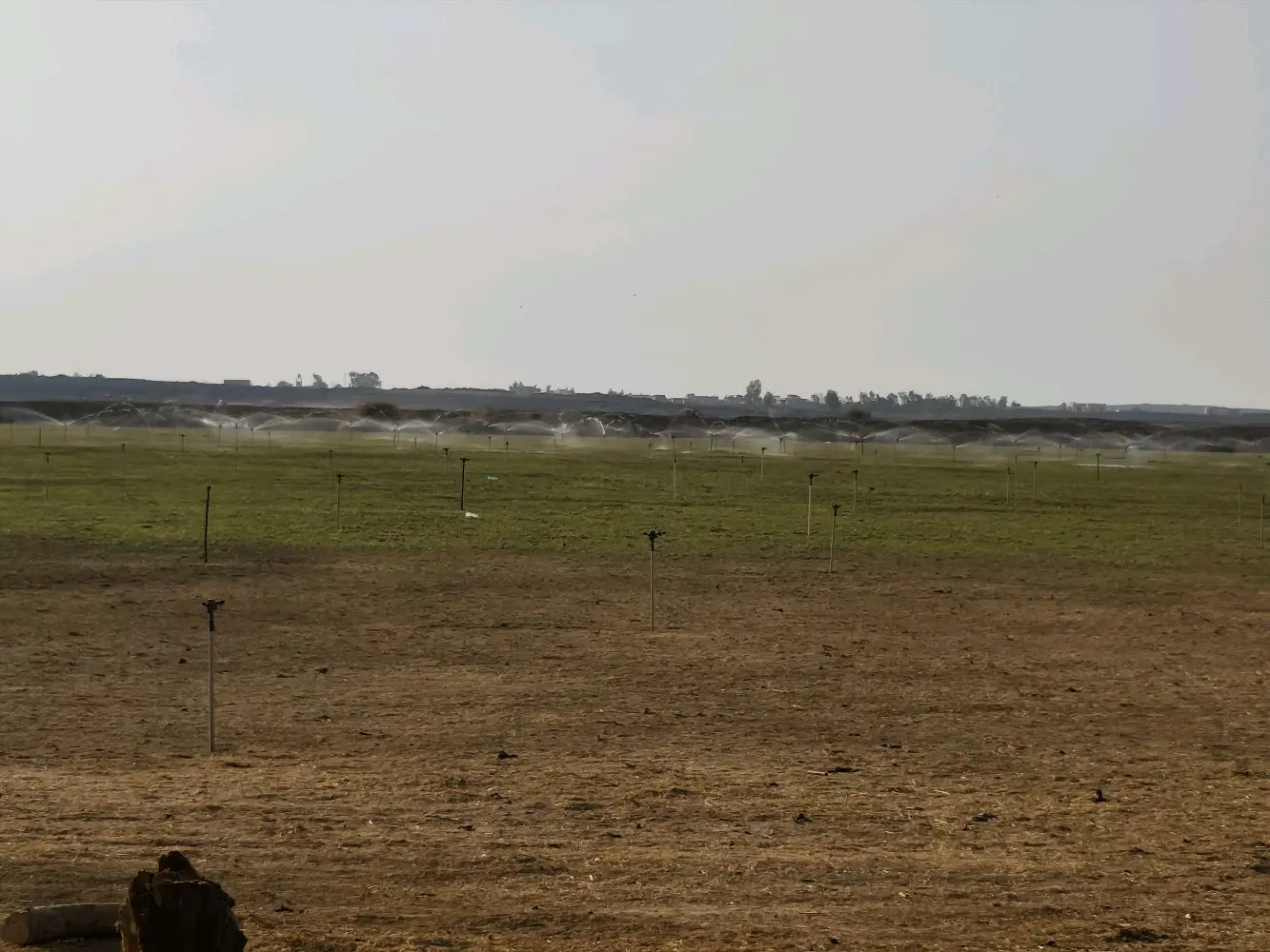 مزرعة استثمارية للبيع