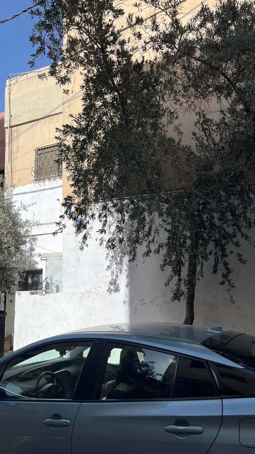 عمارة كامله بسعر شقة