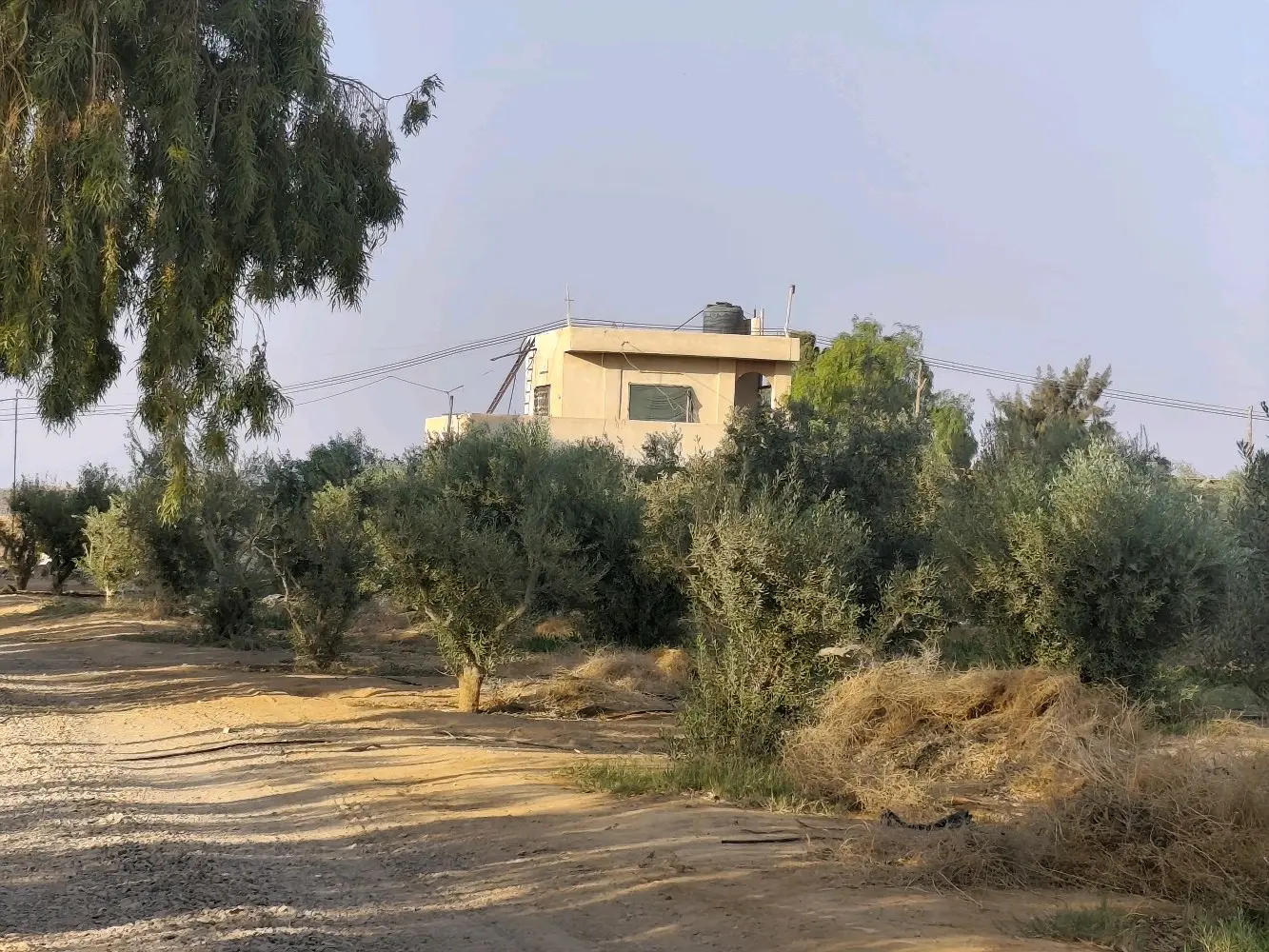 مزرعة استثمارية للبيع