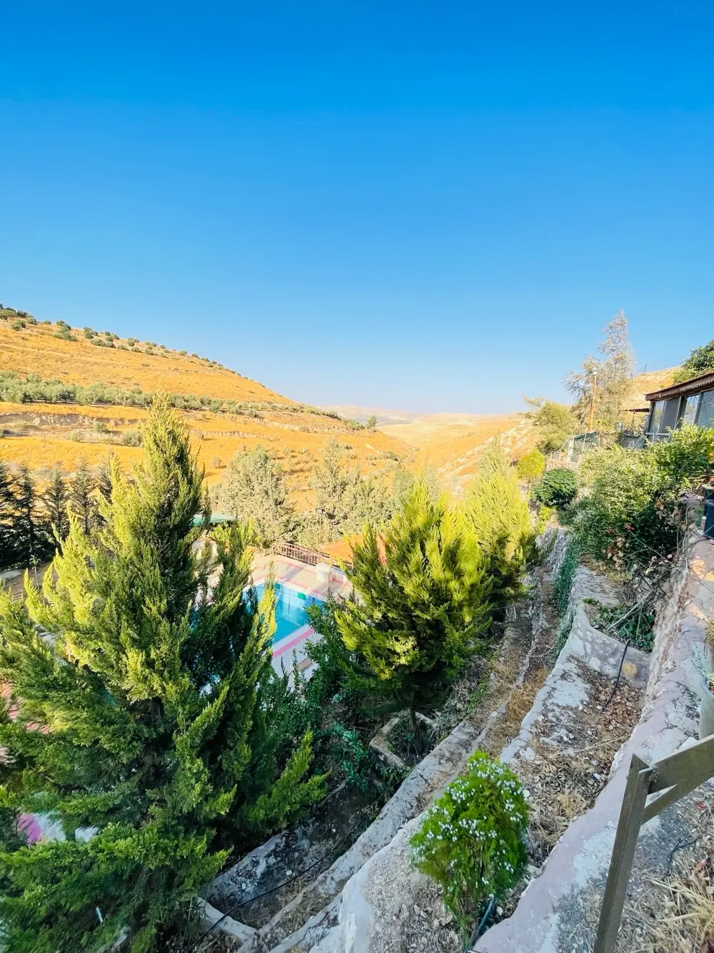 مزرعه مع فيلا ومسبح في العالوك للبيع