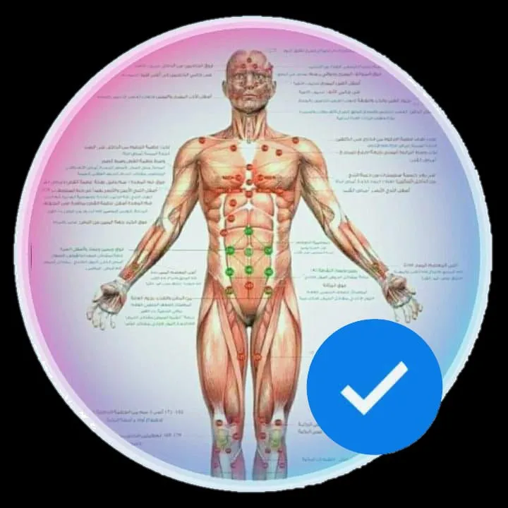 حجامة بأنواعها كايروبرايتيك شياتسو مصل النحل رقية شرعية
