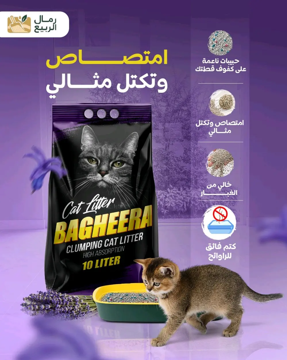 رمل قطط باغيرا للتجار و الموزعين