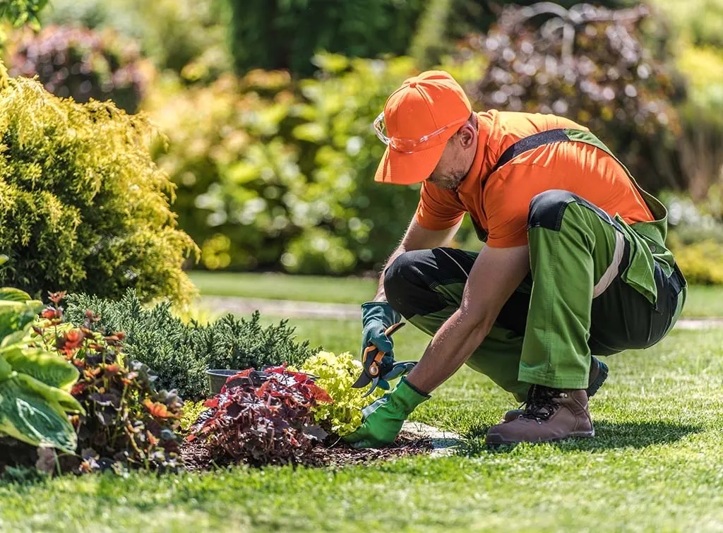 Remodelling and maintinance