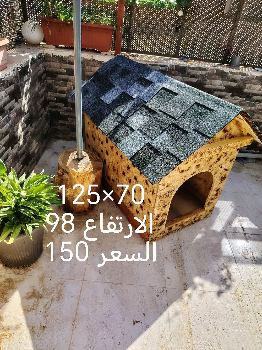 wooden house for dogs different types and sizes isolated from water and warm