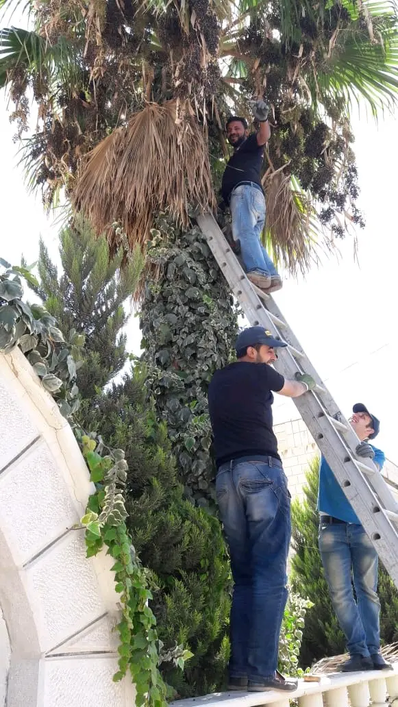 الرنتيسي للحدائق