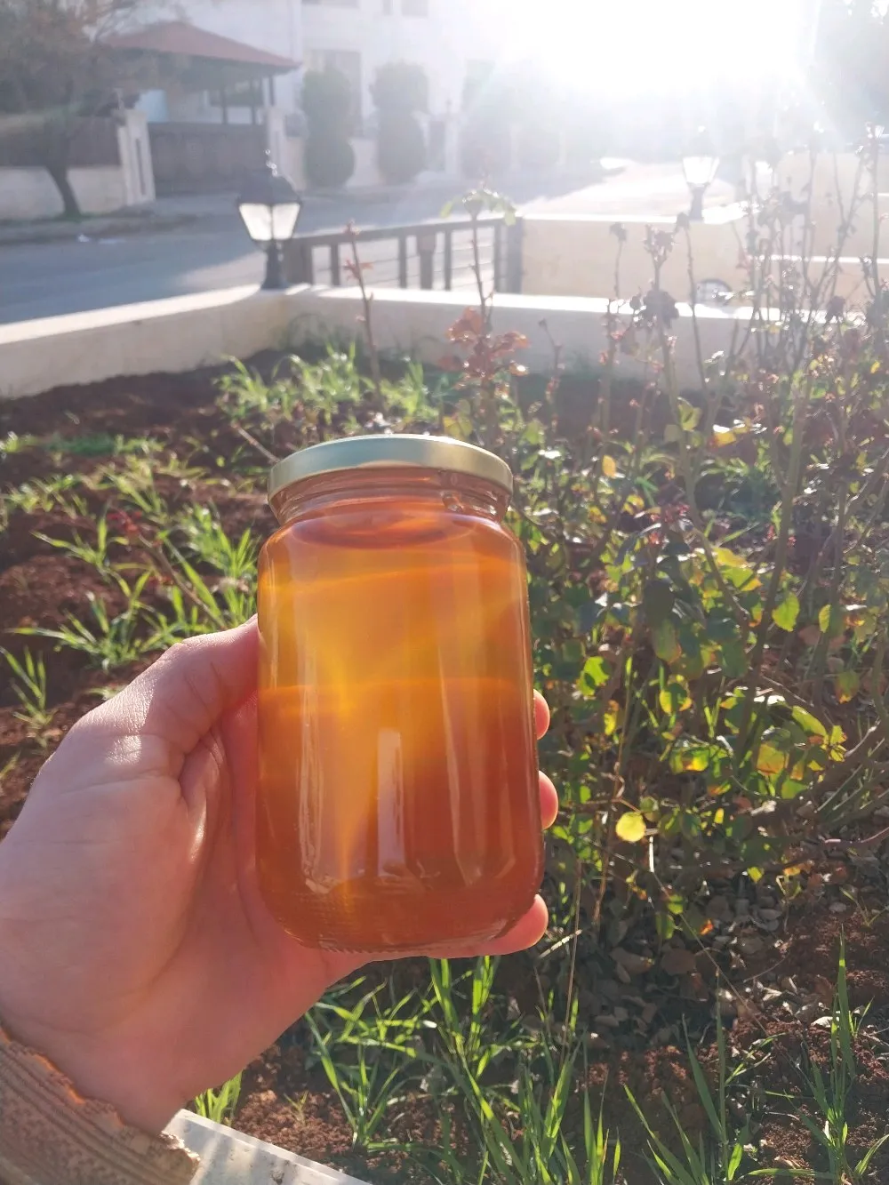 عسل حمضيات بلدي