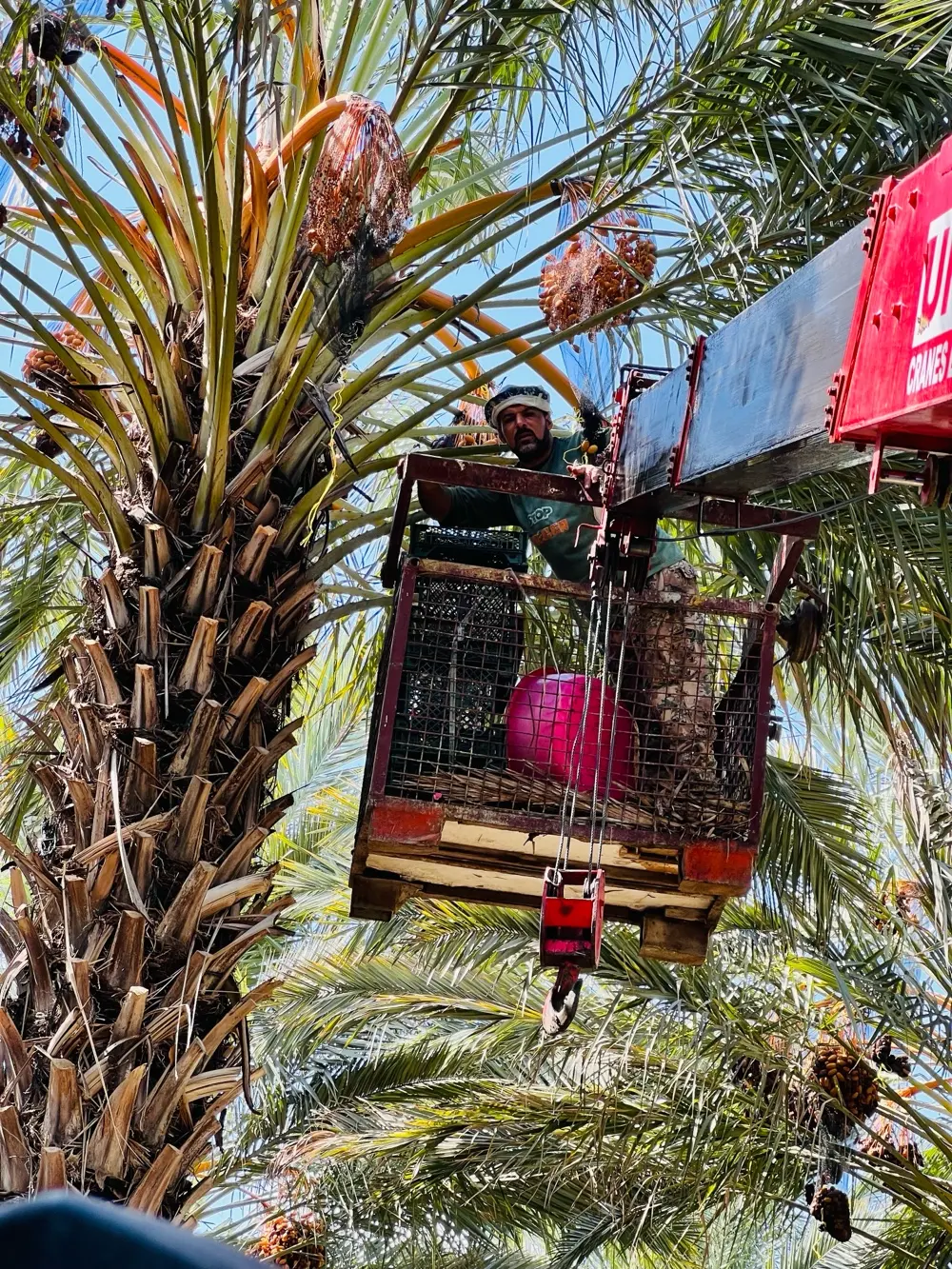 ونشات نقل ورفع السيارات