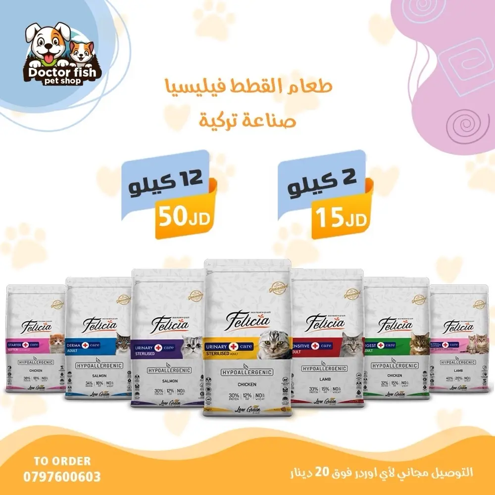 اكل قطط