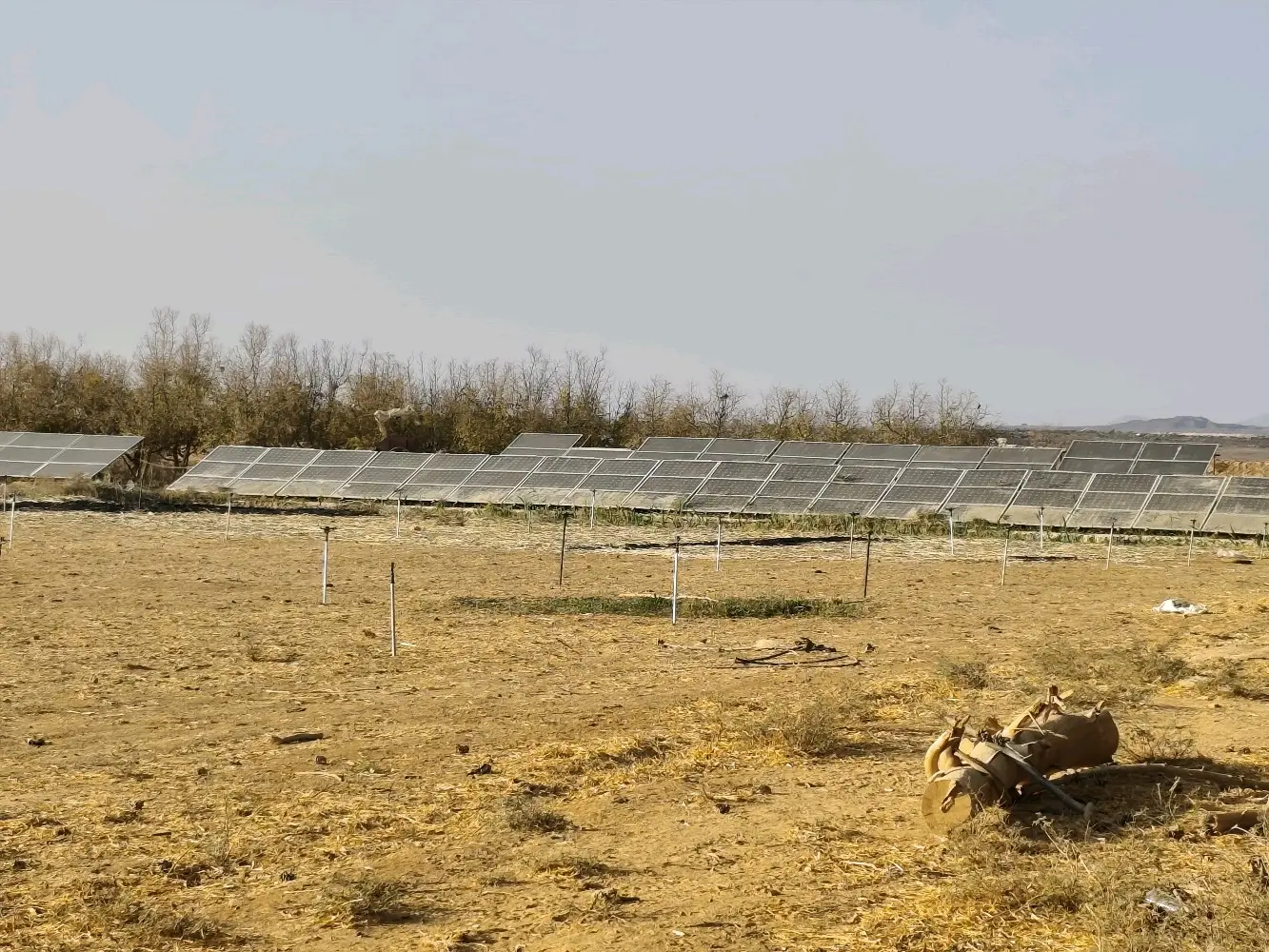 مزرعة استثمارية للبيع