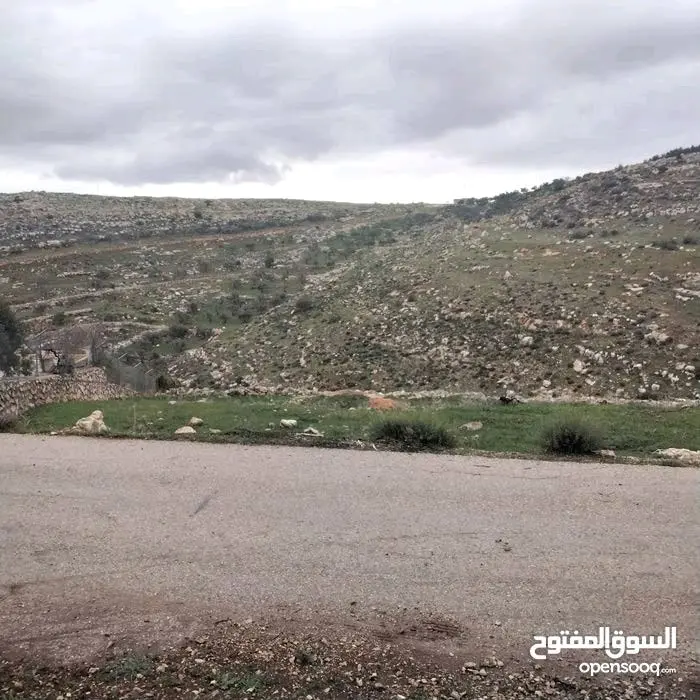 أرض للبيع في السلط( بطنة حوض أم رمانة)، تصلح لبناء مزرعة او فيلا سكنية.