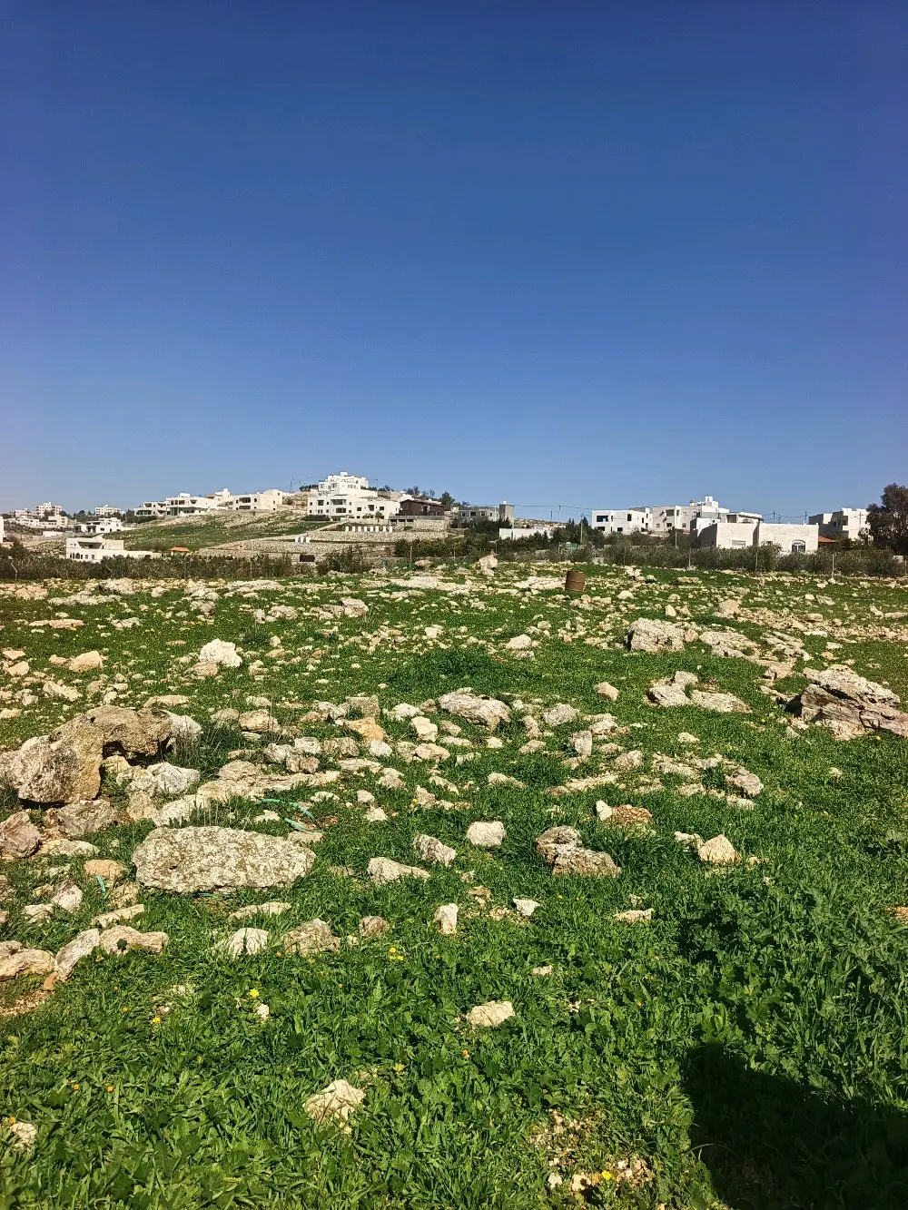 ارض سكن اخضر للبيع السلط نقب الدبور