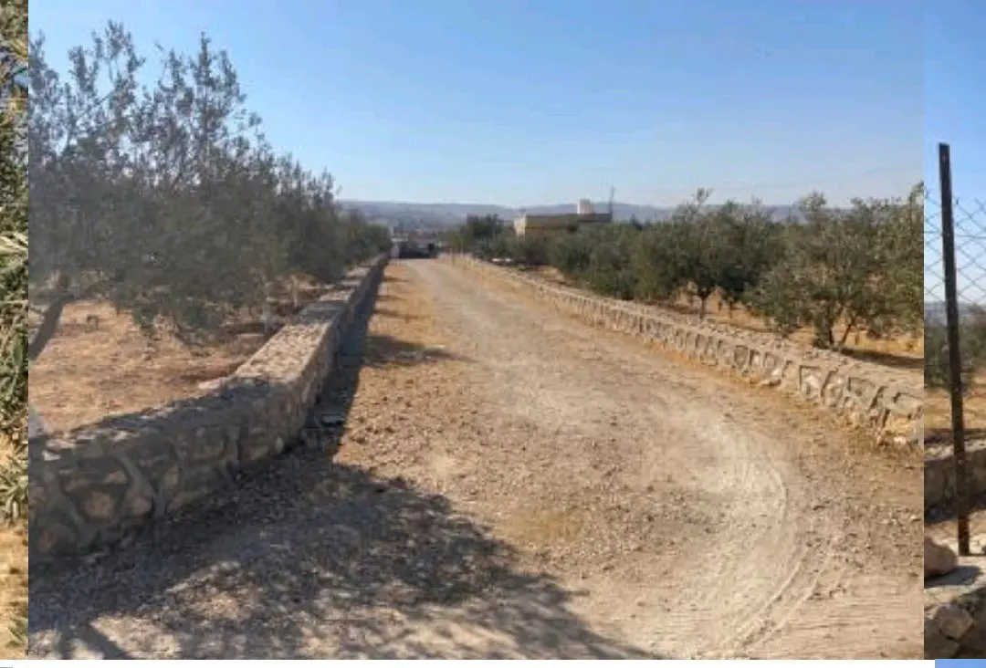 مزرعة للبيع موبص