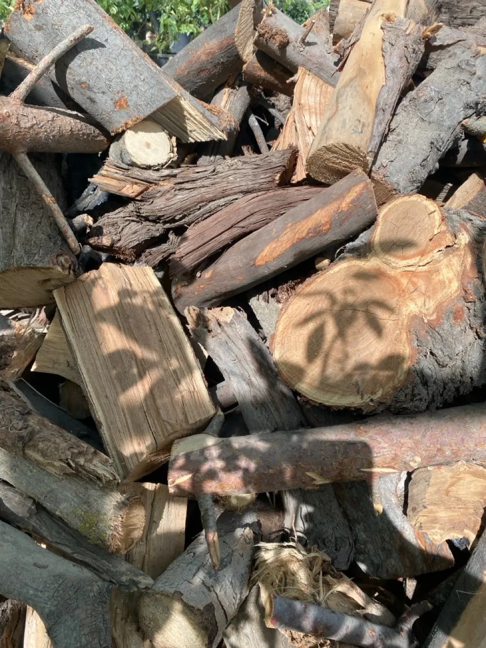 حطب ناشف نخب أول