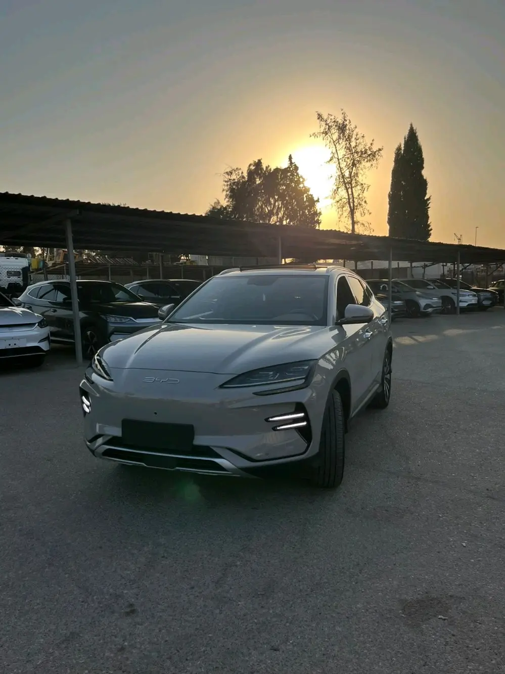 بي واي دي سونق ل شامبيون موديل 2023 بطاريه 520  فل ابشن بانوراما متحركه 5 كاميرا