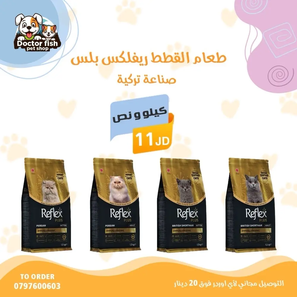 اكل قطط