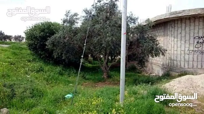 بيت عظم مسطح كبير بقريه الطيبه اربد للبيع بسعر مغري