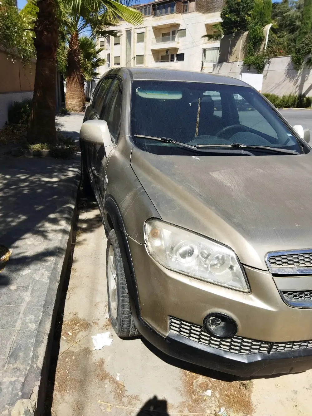 شفرليه كابتيفيا للبيع