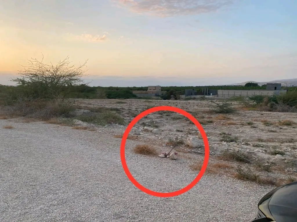 ارض للبيع غور الراما