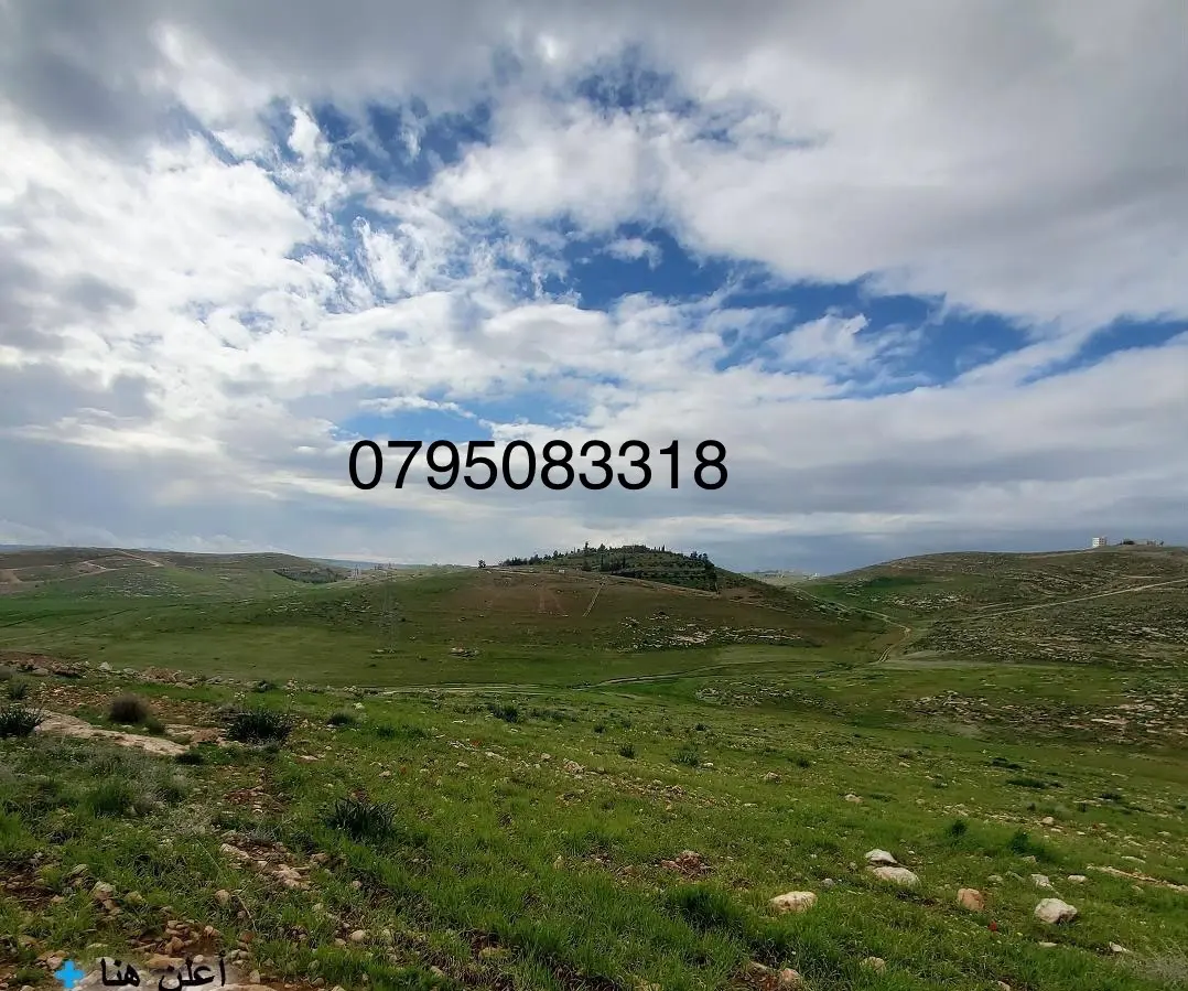 🌿 أرض مميزة للبيع – شفابدران / عمّان 🌿10 دونم و 294 متر – من المالك مباشرة📌