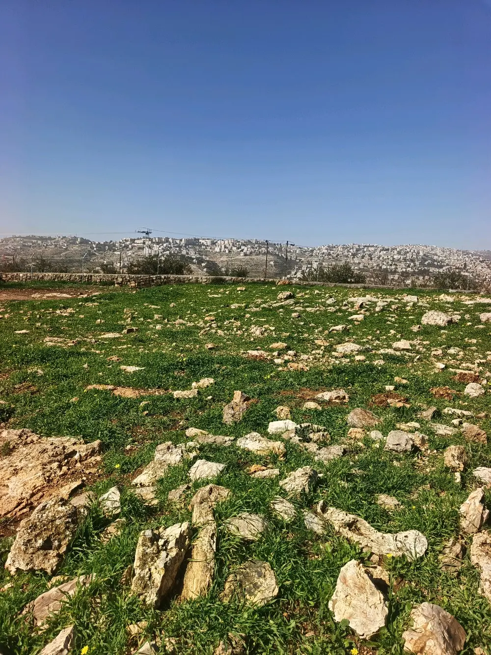 ارض سكن اخضر للبيع السلط نقب الدبور