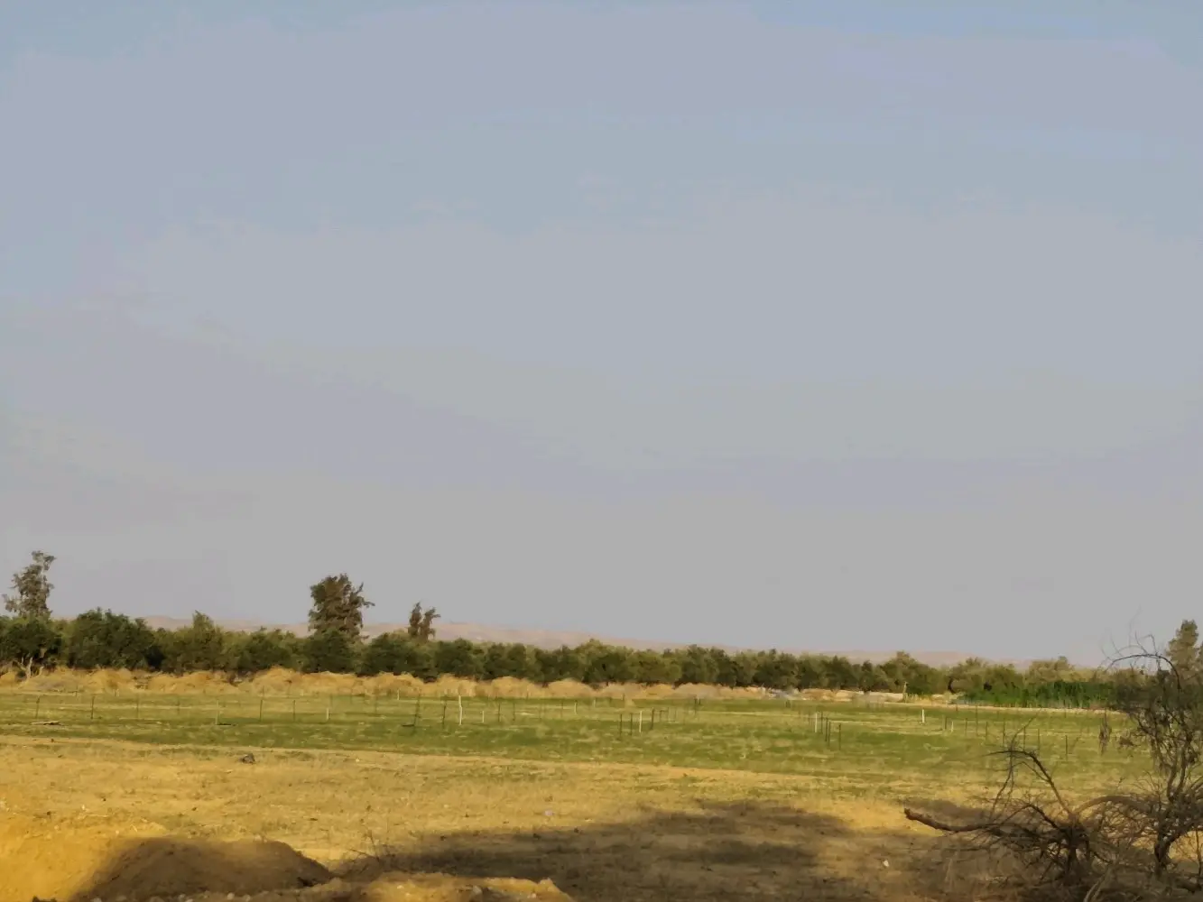 مزرعة استثمارية للبيع