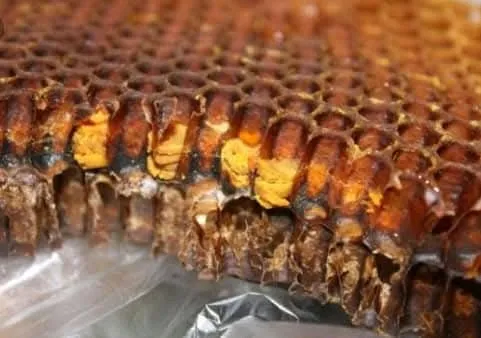 خبز النحل العضوي