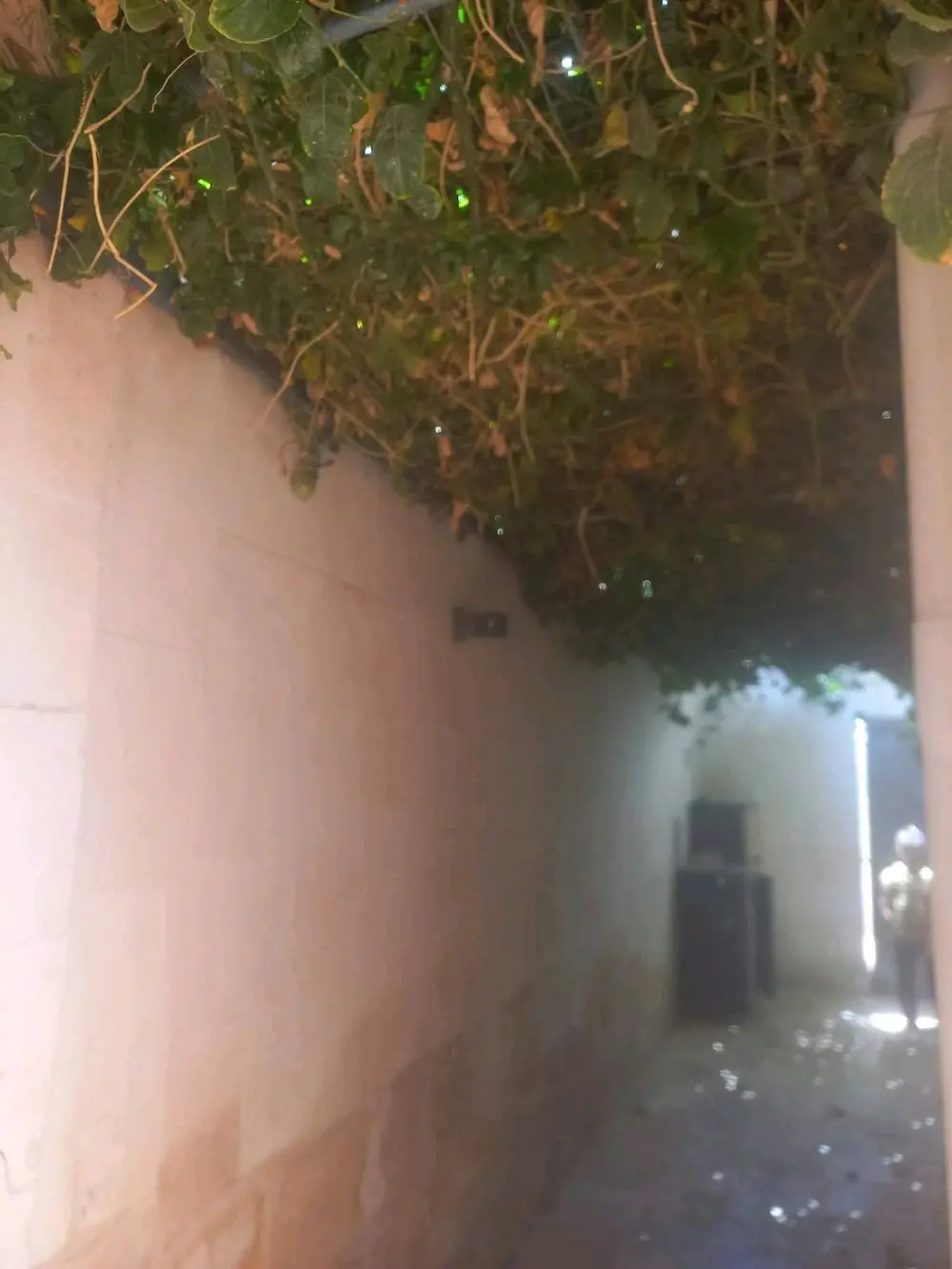 بيت مميز للبيع