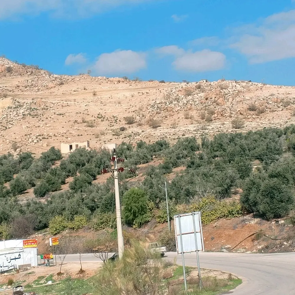 ارض للبيع في منطقه القنيه