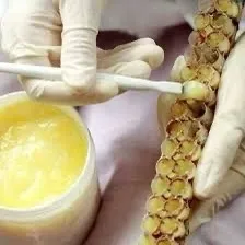 غذاء ملكات النحل