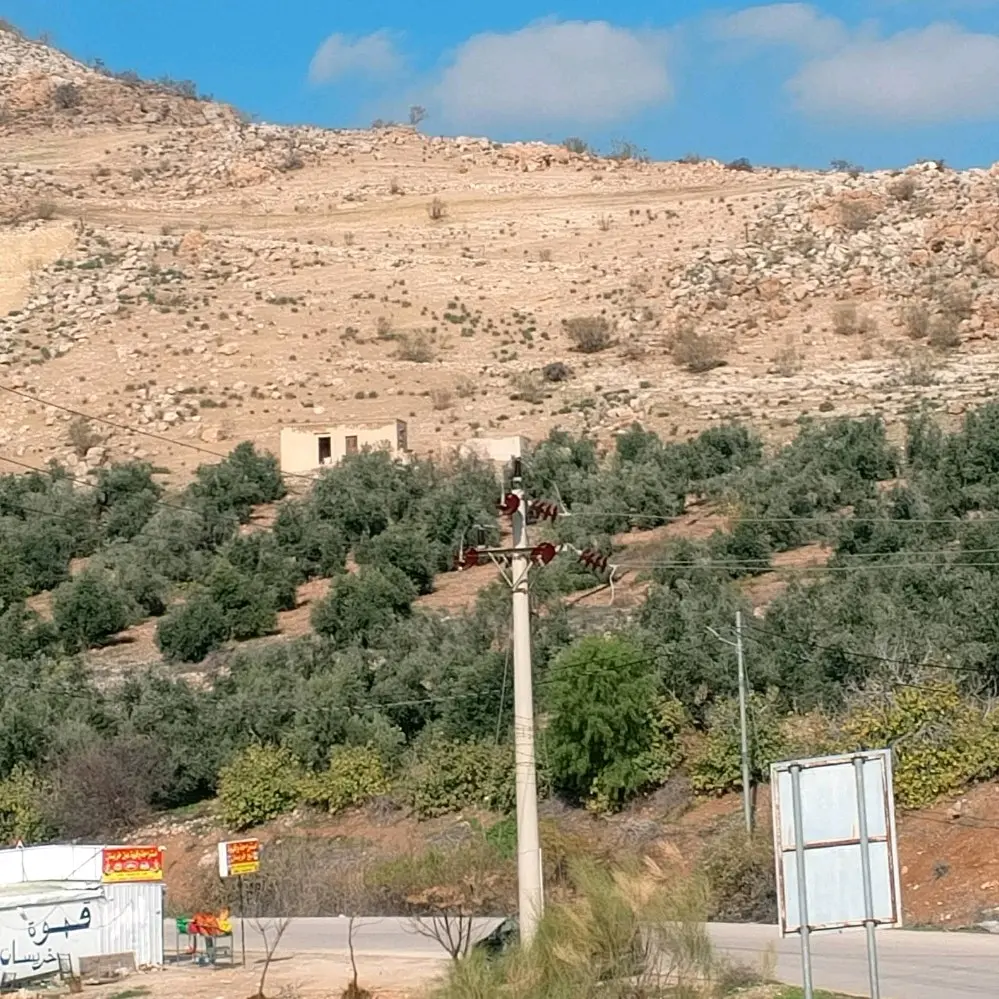 ارض للبيع في منطقه القنيه