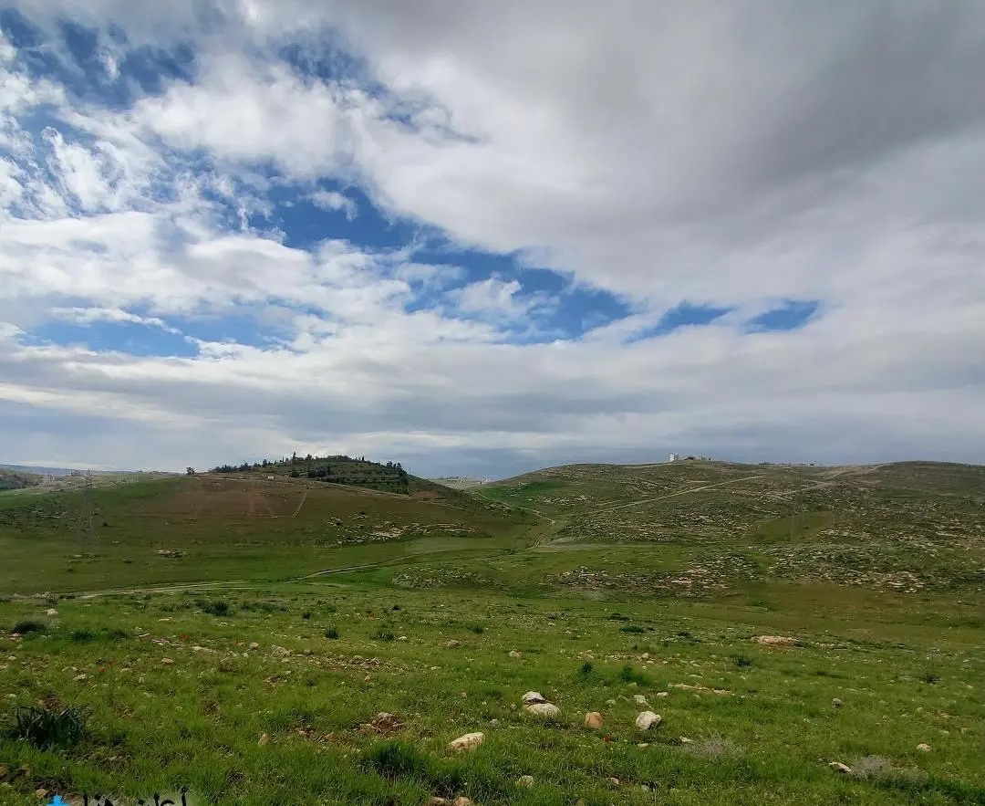 🌿 أرض مميزة للبيع – شفابدران / عمّان 🌿10 دونم و 294 متر – من المالك مباشرة📌