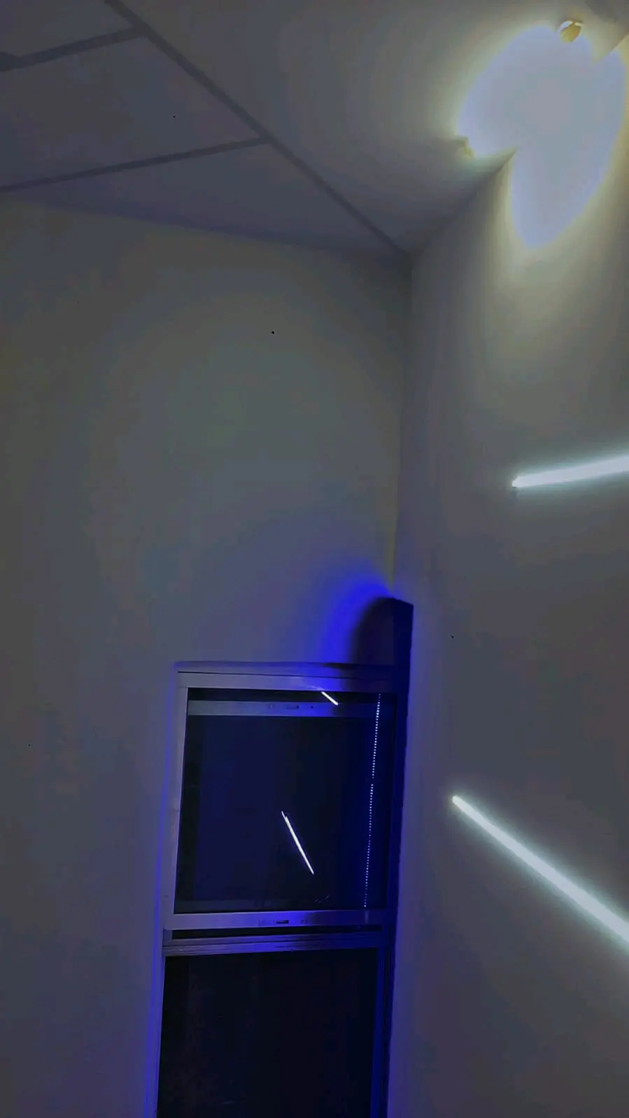 شقه للايجار