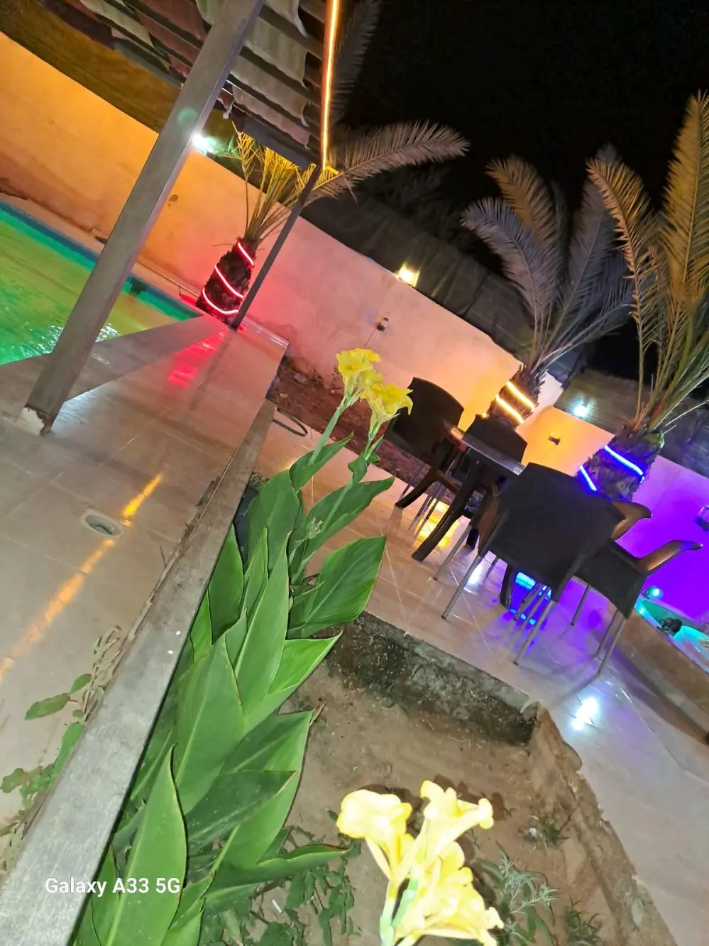 مزرعه للإيجار