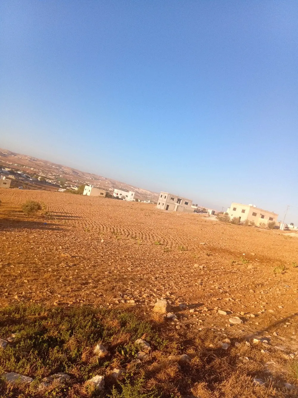 ارض للبيع في بلعما الزيتونة