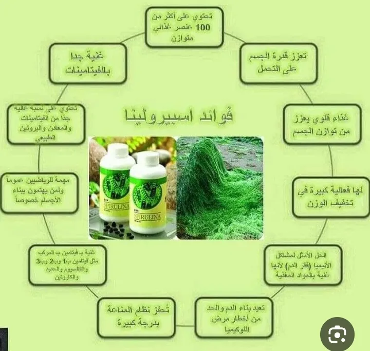 سيبرولينا الطحالب الخضراء