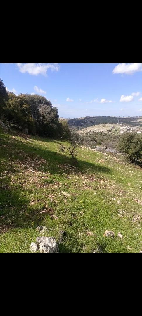 1900 متر للبيع في عجلون/الشارع العام