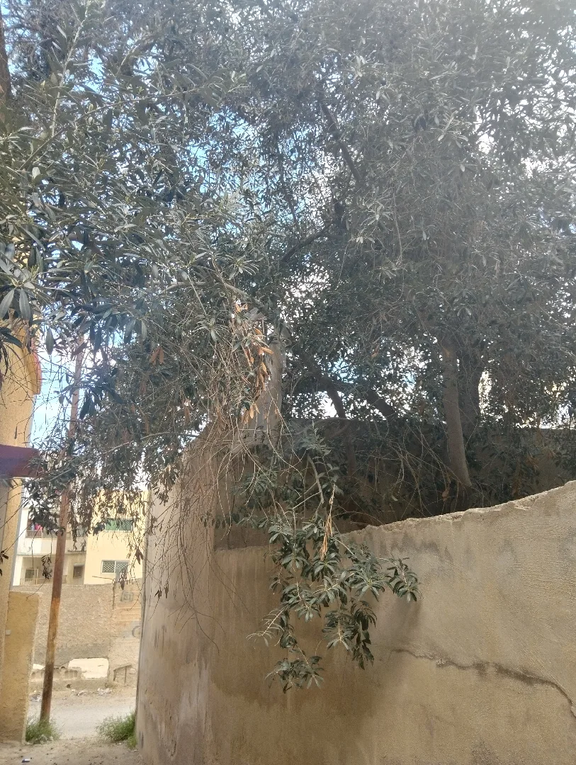 بناية سكنية ثلاث طوابق مع مخزنين للبيع الزرقاء حي الأمير محمد بالقرب من الشارع ا