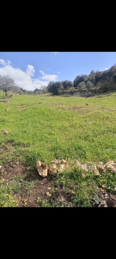 1900 متر للبيع في عجلون/الشارع العام