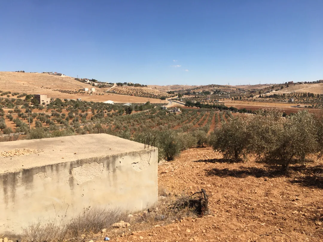 قطع أراضي مميزة للبيع على طريق المفرق-جرش بالقرب من حمامة تصلح للسكن والزراعة وا