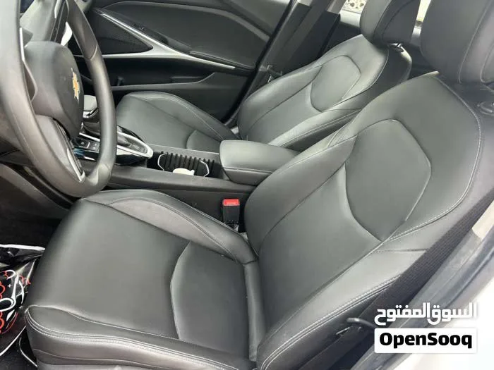 شفر مينلو 2023