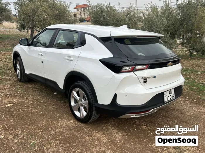 شفر مينلو 2023