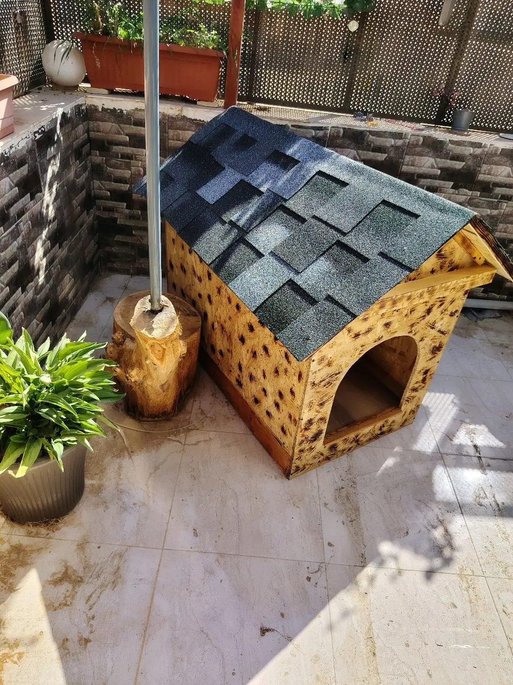 wooden house for dogs different types and sizes isolated from water and warm