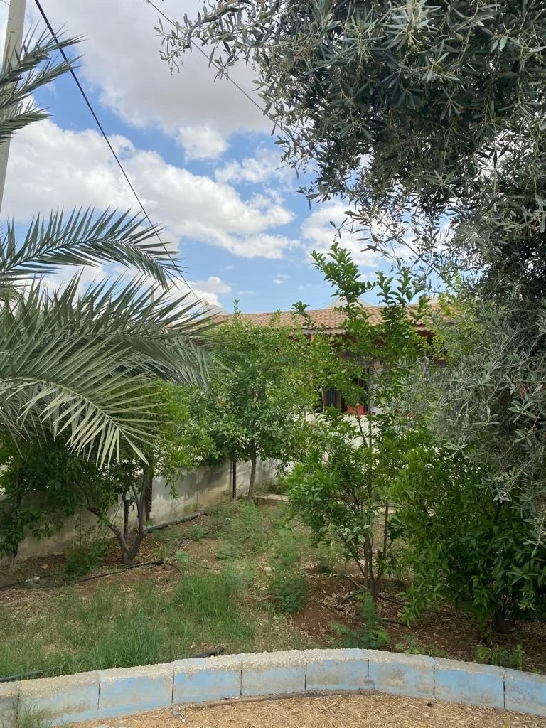 مزرعة مع بيت ريفي في الغور