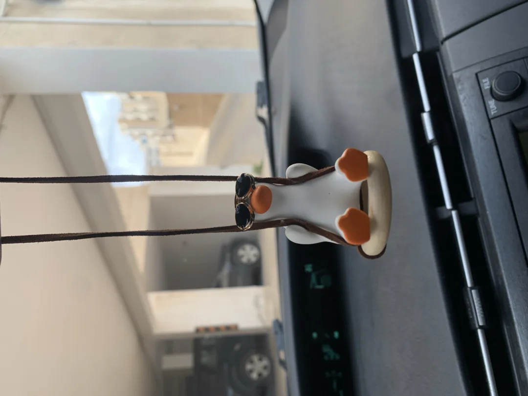 Swing Duck