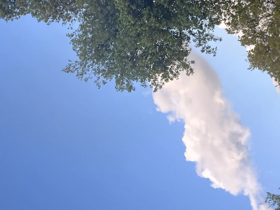 نصف دونم ارض في الحرث للبيع مفروزه بقوشان مستقل