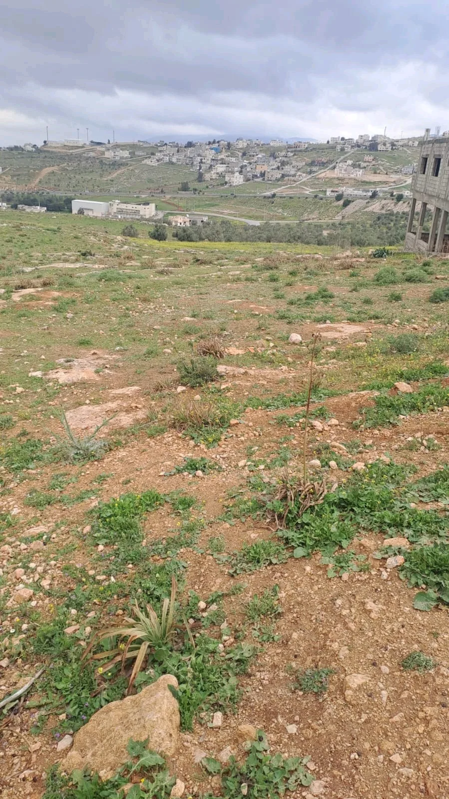 نمر سكنية للبيع