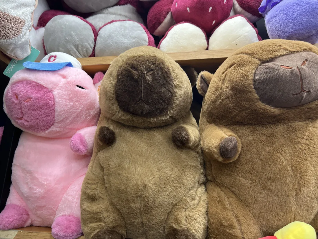 العاب سوفت خامه ممتازة واسعار جيدة