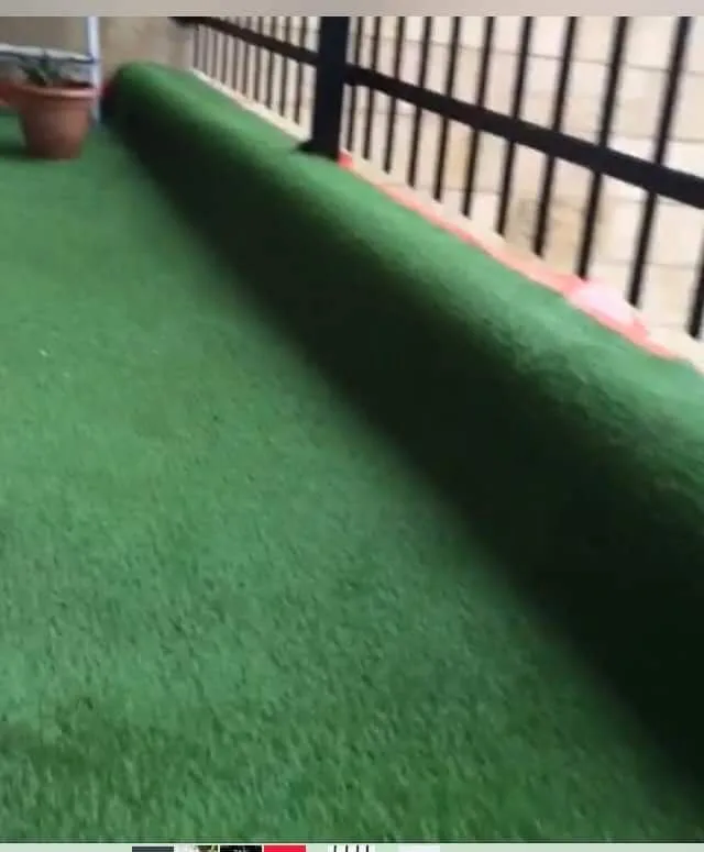 شقة مفروشة للإيجار