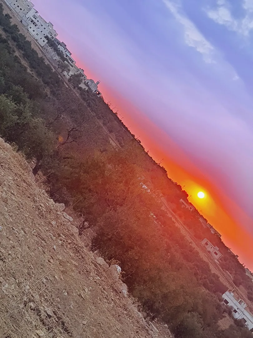 ارض للبيع مشترك