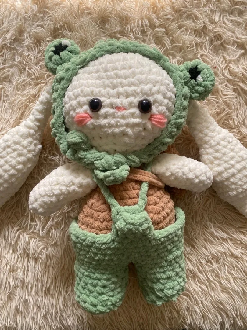 Froggy Bunny🐰